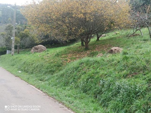 Local Comercial en venta en Illas, Asturias