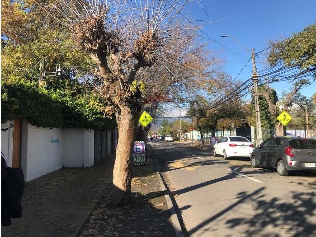 Oficina en Buin
