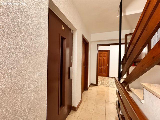 Local Comercial en venta en El Trinquete, el Vinalopó Mitjà / El Vinalopó Medio