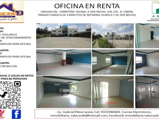 Oficina en renta en Paraíso