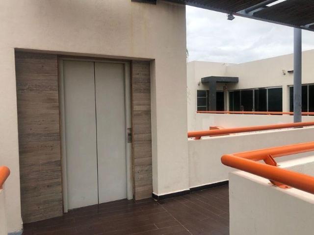 Terreno en renta en Corregidora, Querétaro
