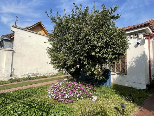 Oficina en San Miguel