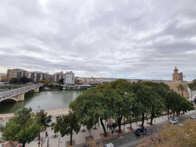 Oficina en alquiler en Sur, Sevilla