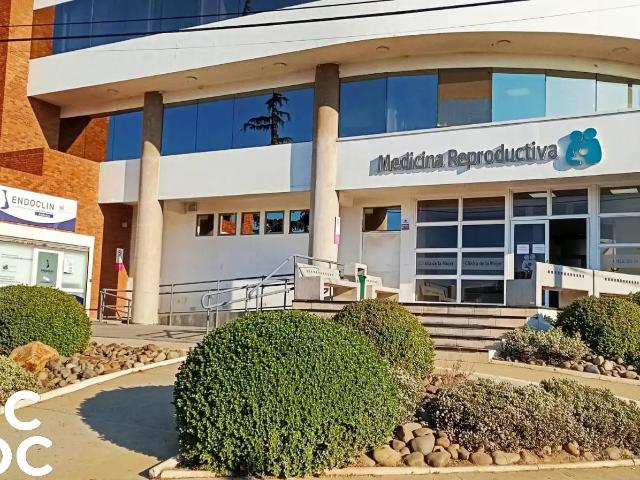 Oficina en arriendo en Gómez Carreño, Viña del Mar
