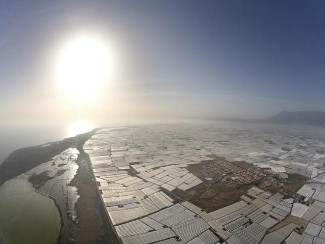 Oficina en venta en El Ejido, Andalucía