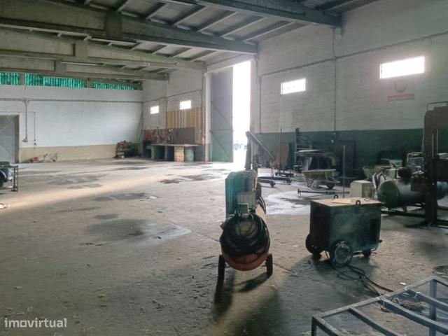 Ponto Comercial venda em Portalegre