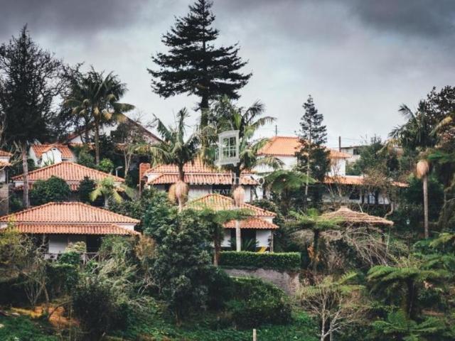 Escritório venda em Pombal, Leiria