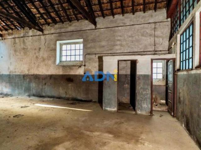 Escritório venda em Castelo Branco