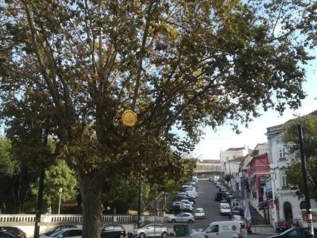 Escritório alugar em Coimbrã, Sé Nova
