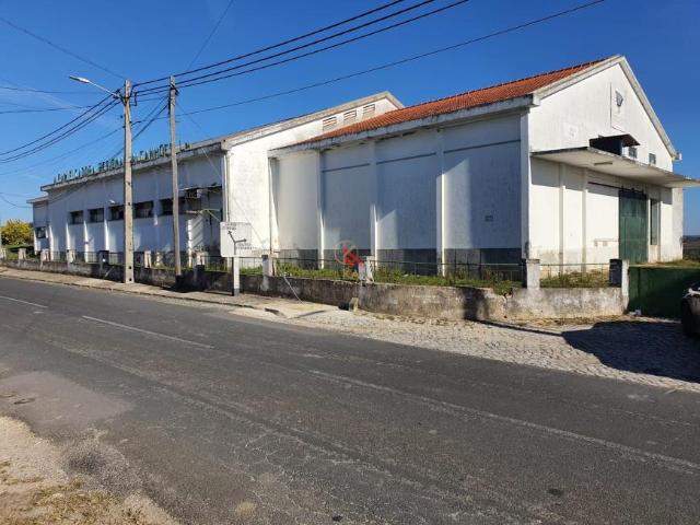 Escritório venda em Santarém