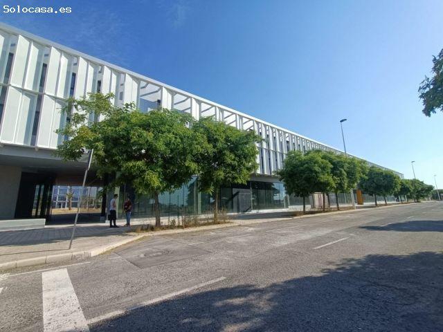 Local Comercial en alquiler en Elche De La Sierra, Jubalcoi