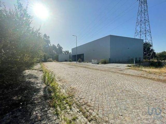 Escritório venda em Viana Do Castelo