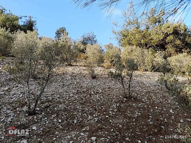 Çabala, Yayladağı içerisinde satılık Arsa