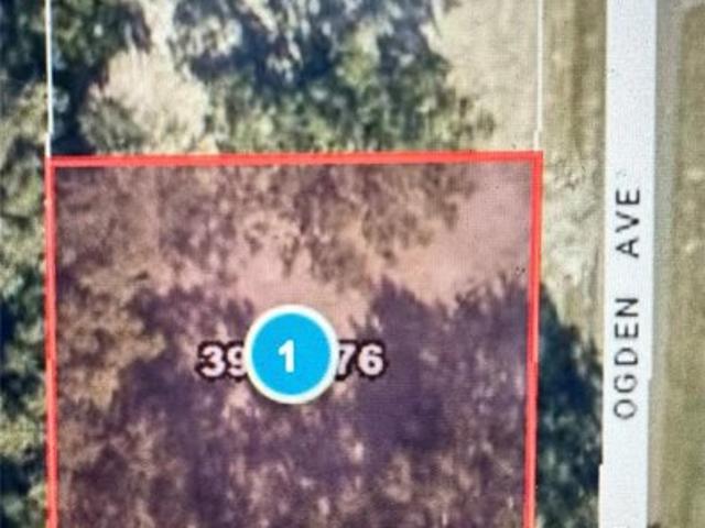 Land for sale in Umatilla, Lake County