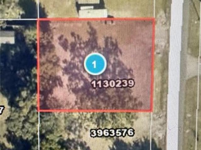 Land for sale in Umatilla, Lake County