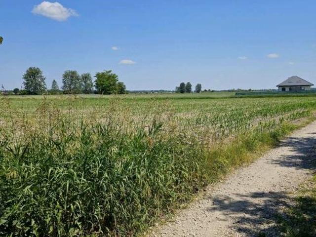 Grunt na sprzedaż w Leszno, Mazowieckie