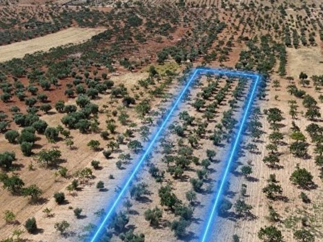 Oğuzeli, Gaziantep içerisinde satılık Arsa