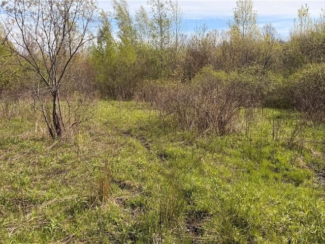 Land for sale in Kinsman, Ohio