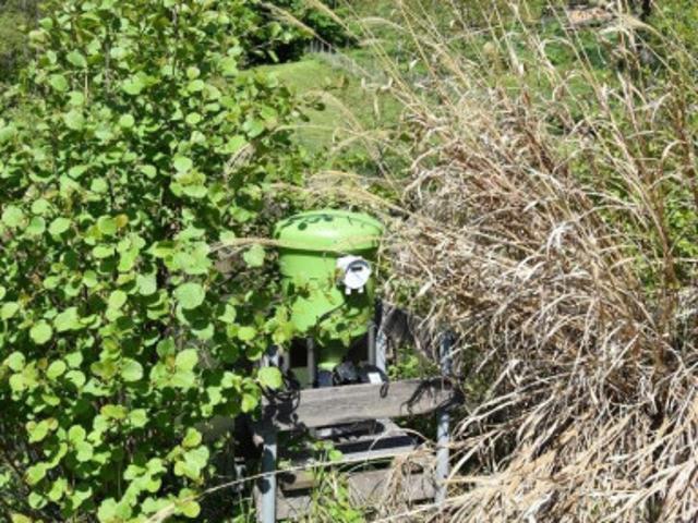 Landwirtschaft kaufen in Ludmannsdorf, Kärnten