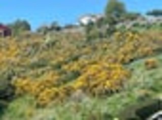Land for sale in Oamaru