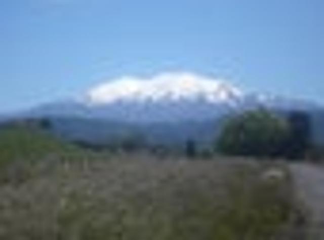 Land for sale in Ruapehu District