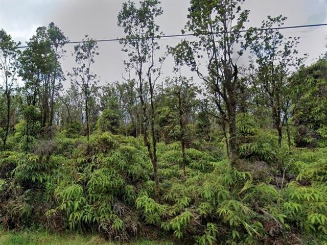 Land for sale in Mountain View, Hawaii