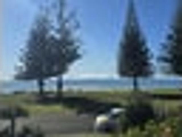 House for rent in Ohope Beach, Bay Of Plenty
