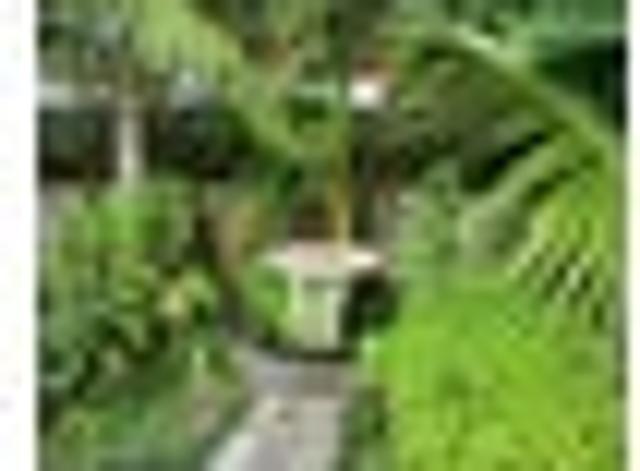 Apartment for rent in Ohope Beach, Bay Of Plenty