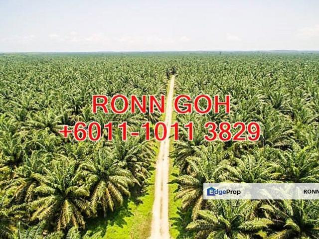 Shop for sale in Tangkak, Johor