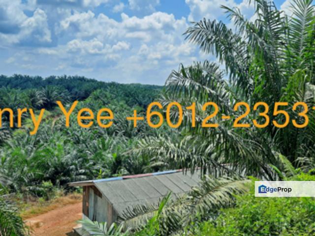 Shop for sale in Rompin, Bandar Tun Abdul Razak