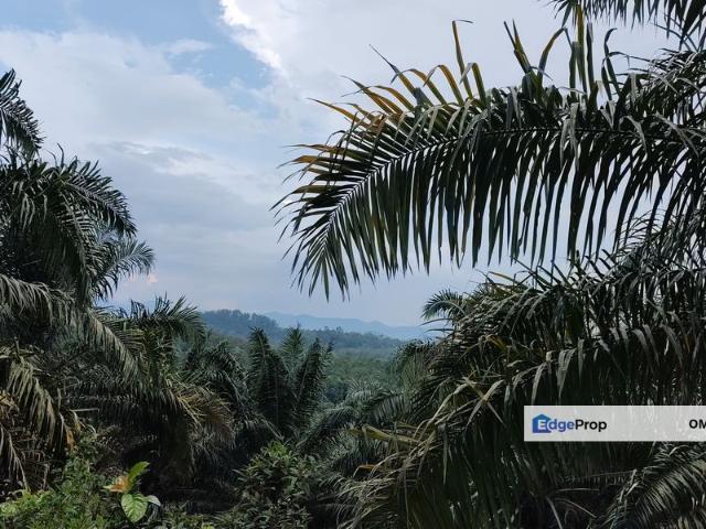 Commercial for sale in Selangor