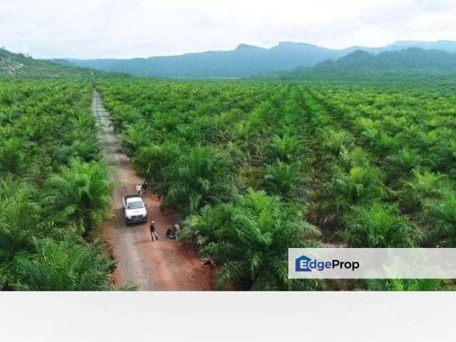 Shop for sale in Sibu Laut