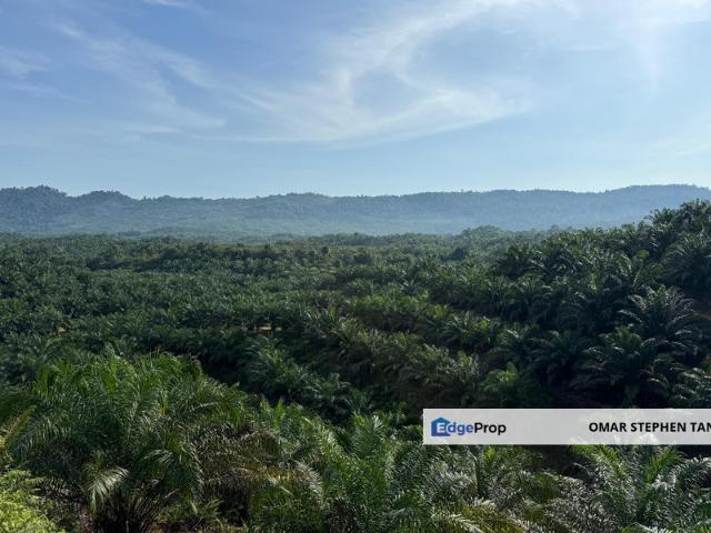 Shop for sale in Beluran, Sabah
