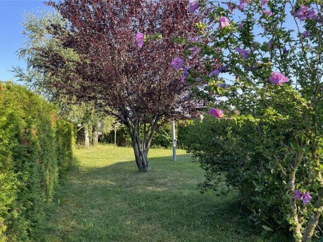 Immobilie kaufen in Gletterens, Freiburg