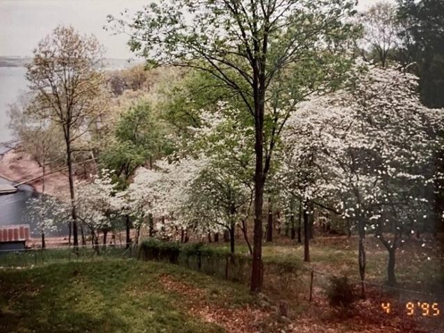 Land for sale in Eucha