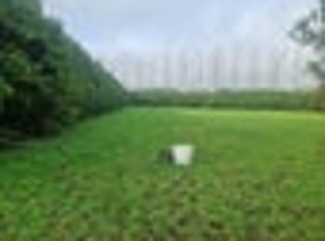 Land for sale in Ohaeawai, Northland