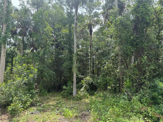 Land for sale in Sorrento, Florida