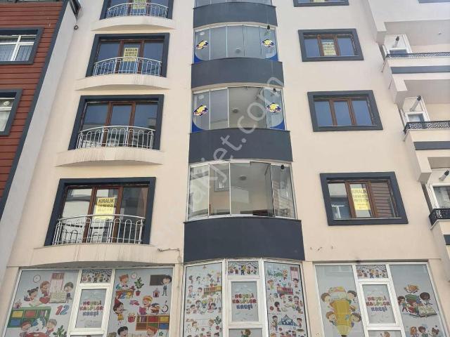 Hasanbey Mahallesi, Gümüşhane Merkez içerisinde kiralık mülk