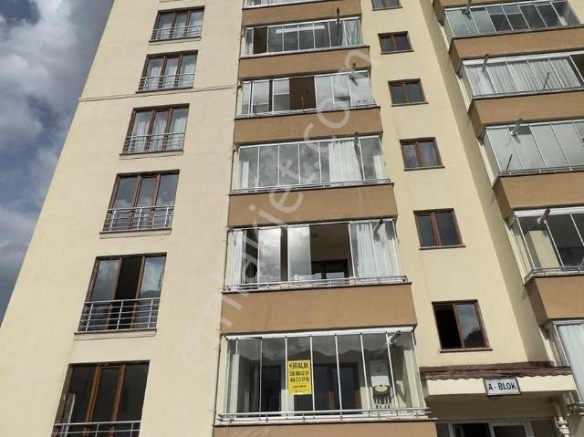 Oltanbey Mahallesi, Gümüşhane Merkez içerisinde kiralık mülk