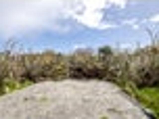 Land for sale in Okarito, West Coast