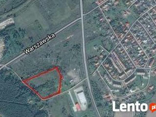 Grunt na sprzedaż w Sulechów, Lubuskie