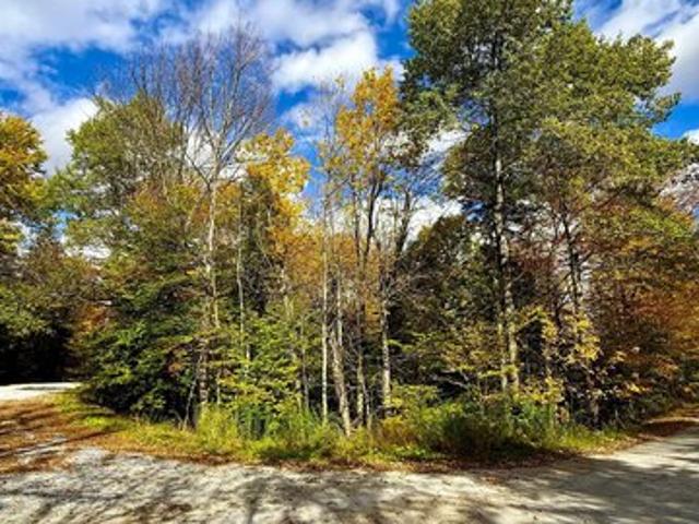 Land for sale in Mount Holly, Rutland County