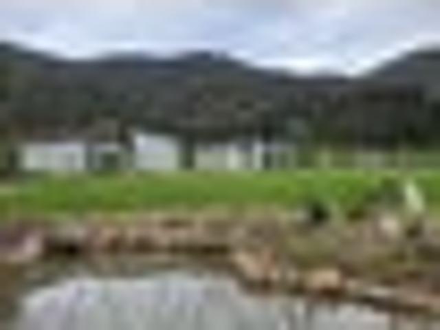House for sale in Okiwi Bay, Marlborough