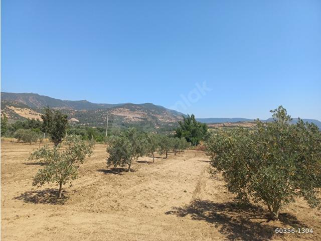Menemen, İzmir içerisinde satılık mülk