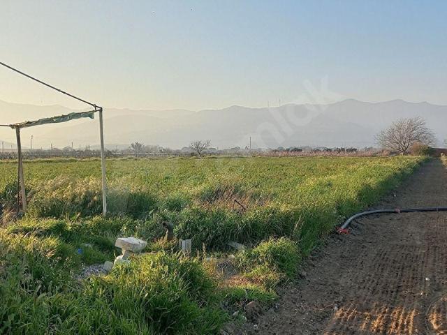 Menemen, İzmir içerisinde satılık Arsa