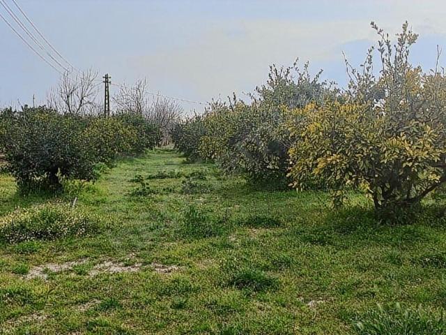 Menemen, İzmir içerisinde satılık mülk