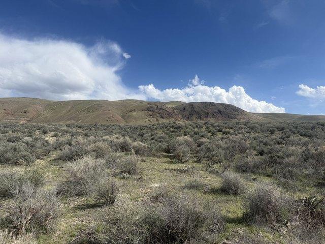 Land for sale in Elko, Nevada