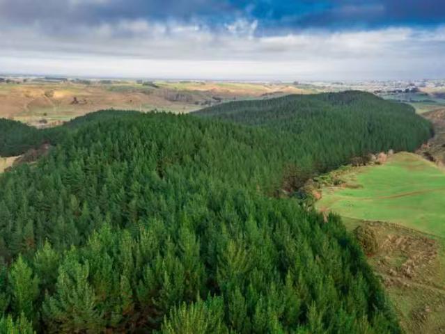 House for sale in Wanganui District