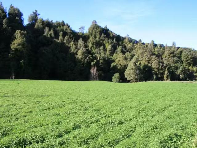 House for rent in Taranaki