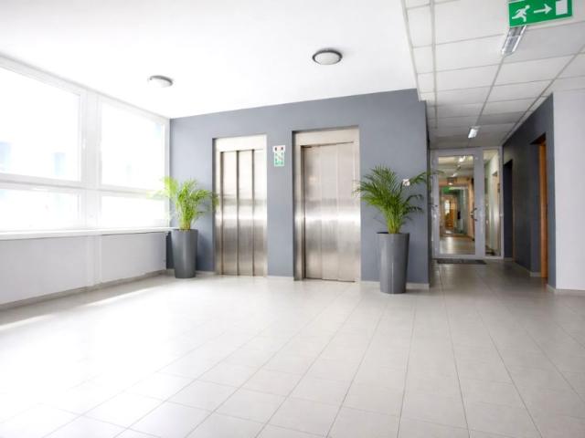 Mieszkanie do wynajęcia w Poznań, Wielkopolskie